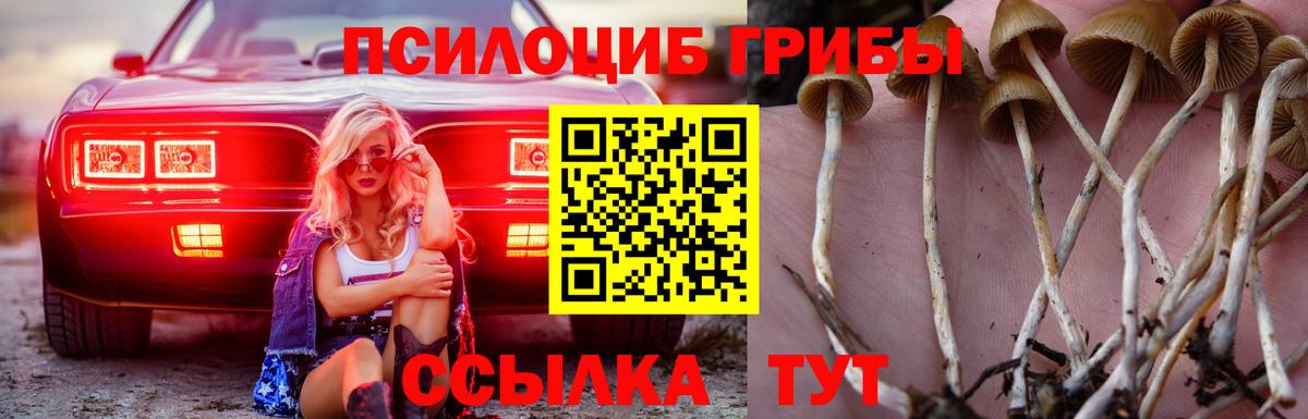 Галлюциногенные грибы ЛСД  Вход с VPN  Галлюциногенные грибы Magic Shrooms  Серпухов 